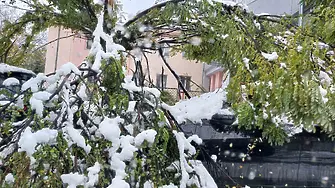 Във всички училища в област Пловдив ще има нормален учебен процес