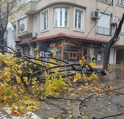 Бурният вятър нанесе нови щети във Варна