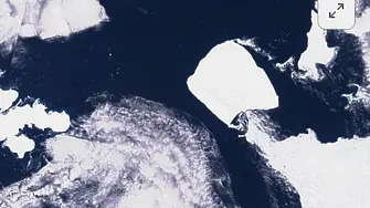 За първи път от 30 години: Най-големият айсберг в света се раздвижи