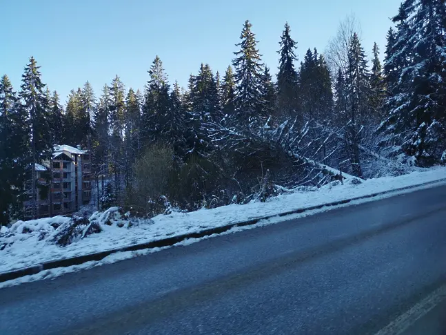 Затвориха проходите “Рожен” и “Превала” за камиони, снежната покривка в Смолянско надхвърли 20 см 