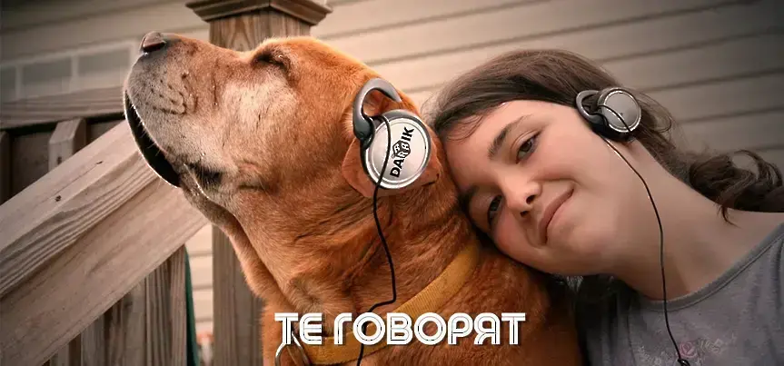  ТЕ ГОВОРЯТ – Епизод 17: В Пловдив отвори първата в града автомивка за животни 