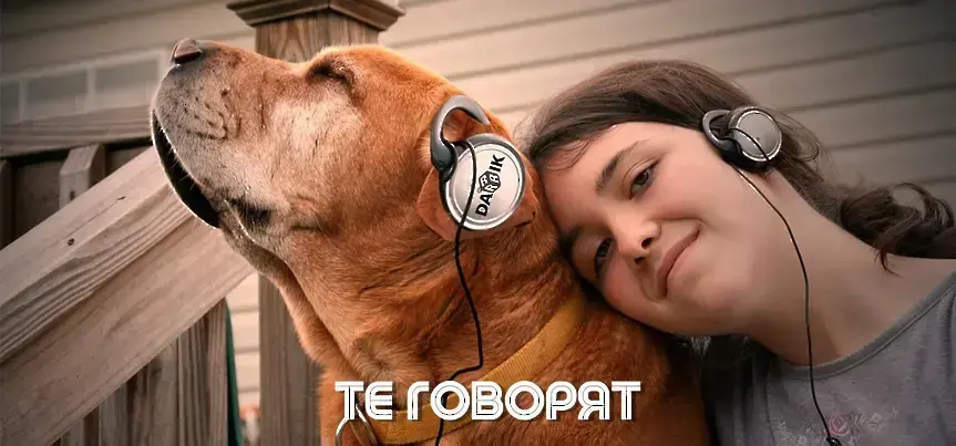 ТЕ ГОВОРЯТ – Епизод 17: В Пловдив отвори първата в града автомивка за животни