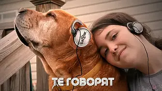  ТЕ ГОВОРЯТ – Епизод 17: В Пловдив отвори първата в града автомивка за животни 