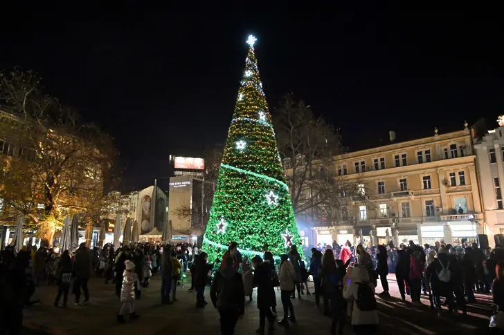 Кметът Костадин Димитров ще запали светлините на Коледното дърво пред общината