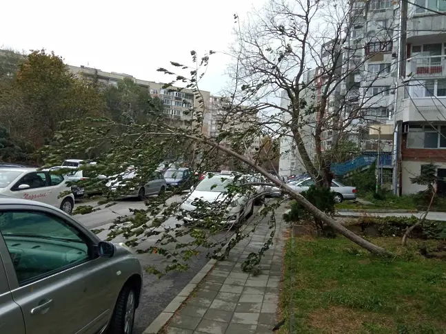 Очаква се отмяна на бедственото положение във Варна