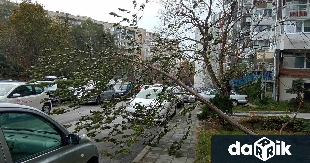 Бедственото положение в община Варна се очаква да бъде отменено