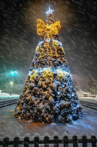 Светлините на коледната елха във Враца грейват на 29 ноември