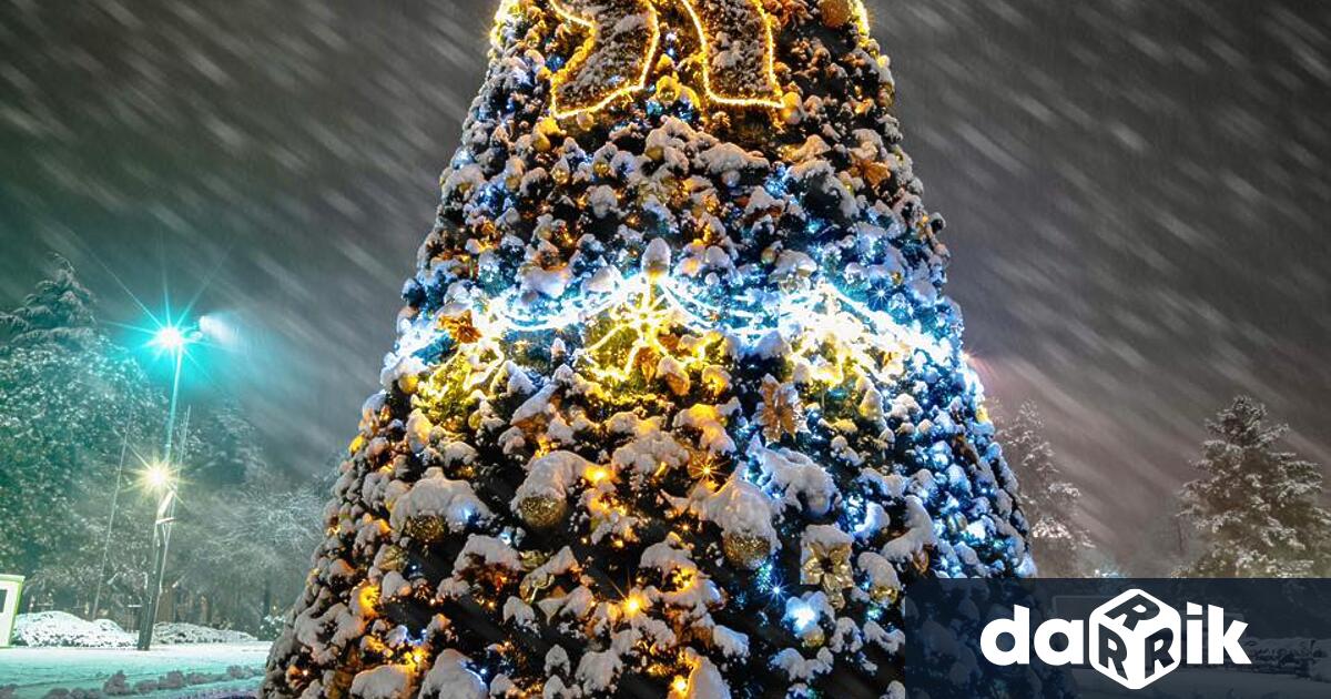 Светлините на коледната елха във Враца грейват на 29 ноември