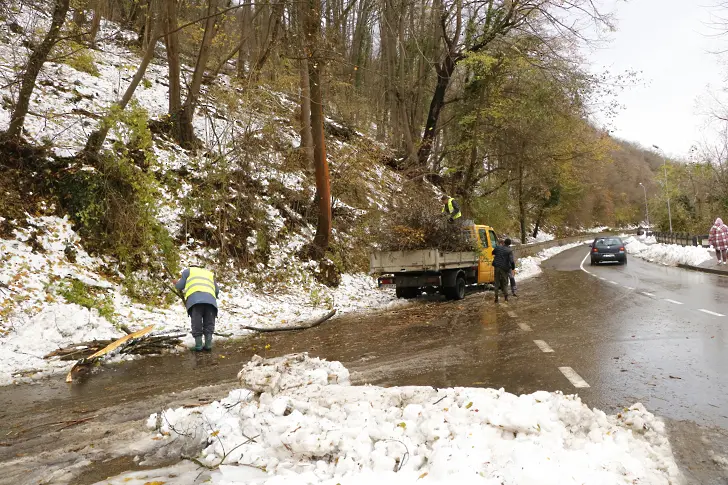 Над 50 камиона събраха и извозиха  начупените от снега дървета и клони във Велико Търново