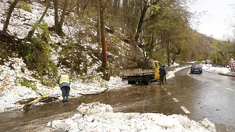 Над 50 камиона събраха и извозиха  начупените от снега дървета и клони във Велико Търново