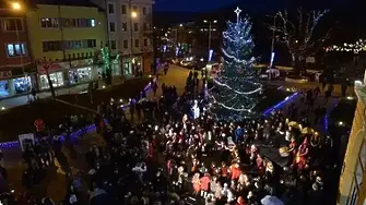 Коледната елха в Сливен грейва на Никулден (програма)