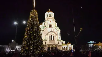 В празнични светлини грейна коледното дърво в София (видео) 