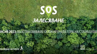 15 000 новозасадени фиданки от видовете цер, благун и космат дъб ще възстановят 30 декара опожарени гори в Стамболово с подкрепата на Нестле България 
