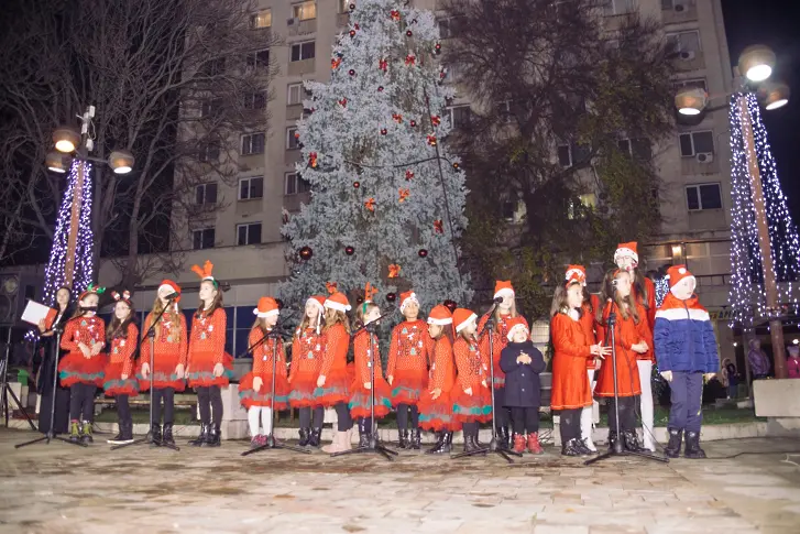 В Мездра днес ще грейнат светлините на 7-метрова Коледната елха