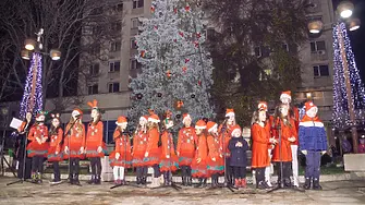 В Мездра днес ще грейнат светлините на 7-метрова Коледната елха