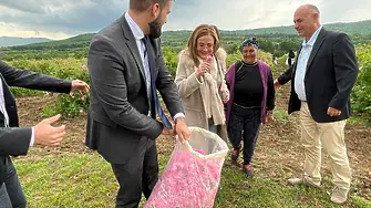 Българското розово масло няма да се третира като опасен химически продукт