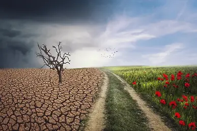 Как се отразяват климатичните промени на българското земеделие