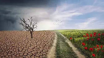 Как се отразяват климатичните промени на българското земеделие