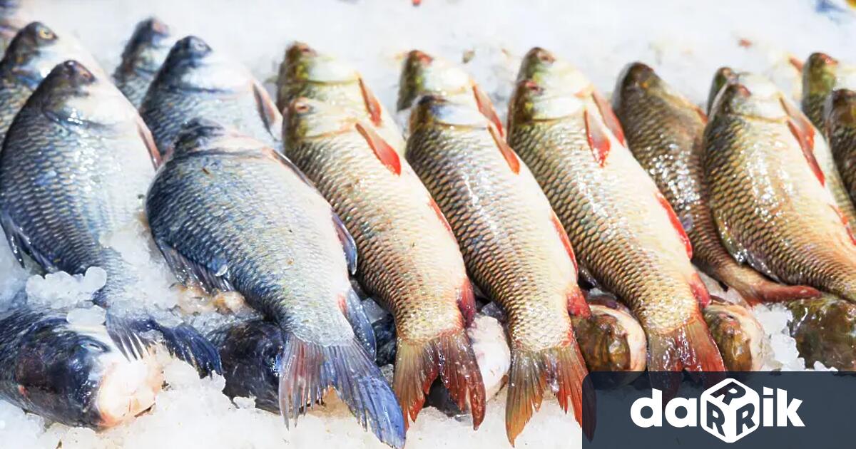 Шаранът върви по 10 лева за килограм на рибния пазар