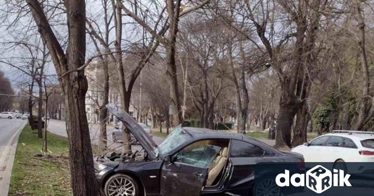 Дрогиран шофьор се заби с автомобила си в дърво близо