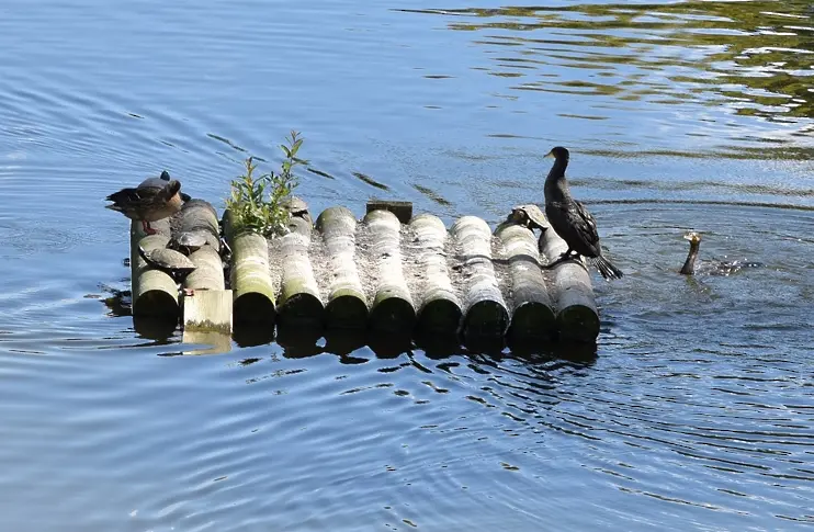 Международен ден на биологичното разнообразие е днес