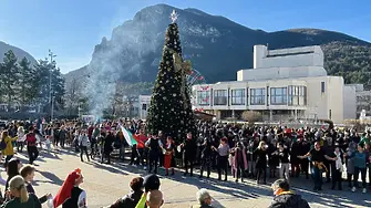 На Васильовден с богата програма и Сурвакарски празник във Враца