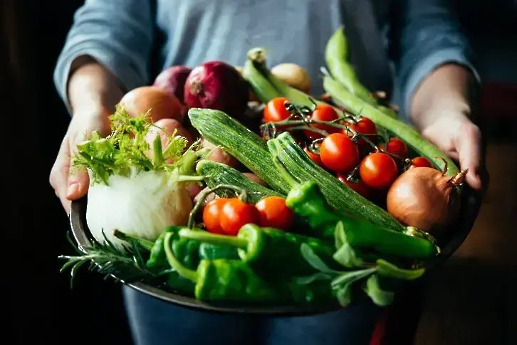 Варненски еколози с призив срещу ГМО, връчват екологично чисти зеленчуци на областния управител
