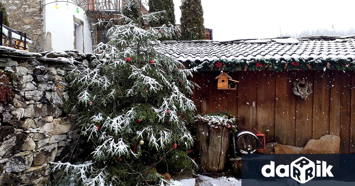 Зимната обстановка в община Родопи е спокойна Няма затворени участъци