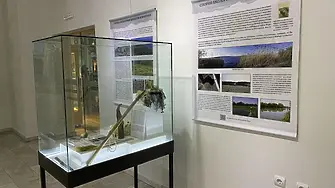 Изложба представя места и райони, които са в или в близост до защитени територии 
