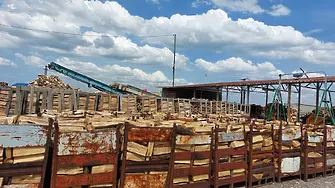 Над 5 хиляди домакинства са закупили дърва за огрев от складовете на горските стопанства на СЗДП