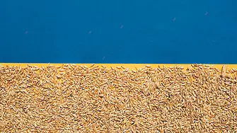 България и още четири страни поискаха мито за украинското зърно