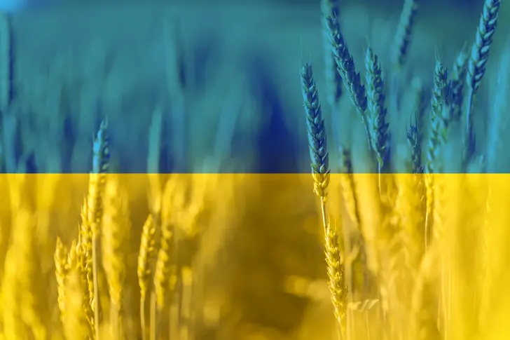 ЕК ще предложи мерки, съобразени с опасенията на земеделците в България за вноса от Украйна