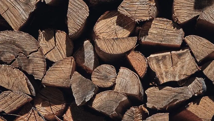 11 кубика дърва за огрев са откраднати от временен склад на ДГС-Сливен