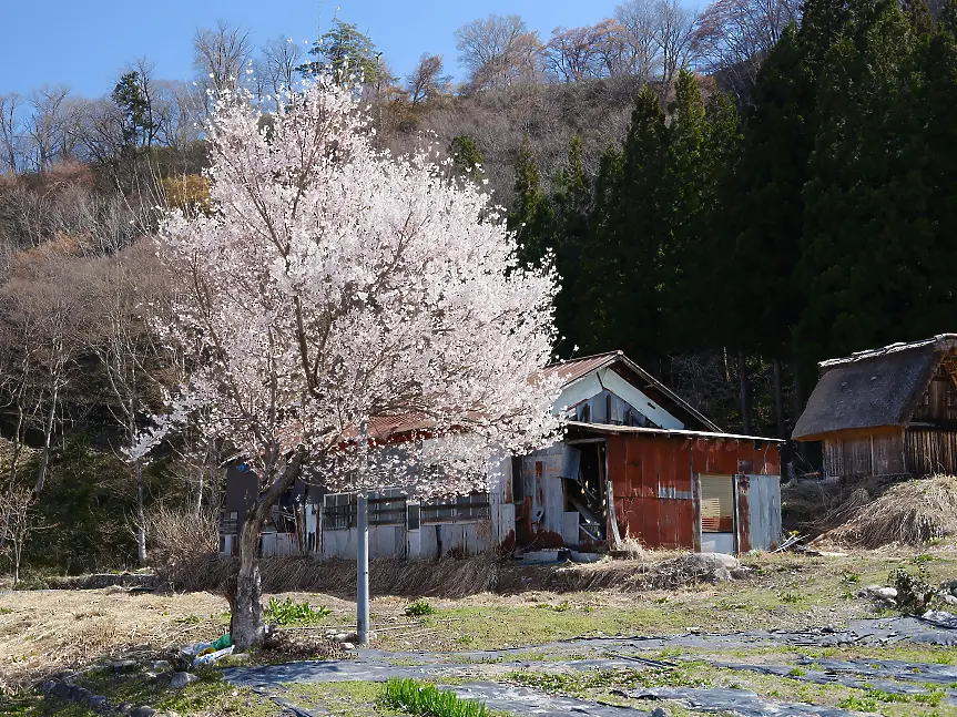 В Япония има 8 млн. изоставени къщи, които чужденци купуват евтино и реновират