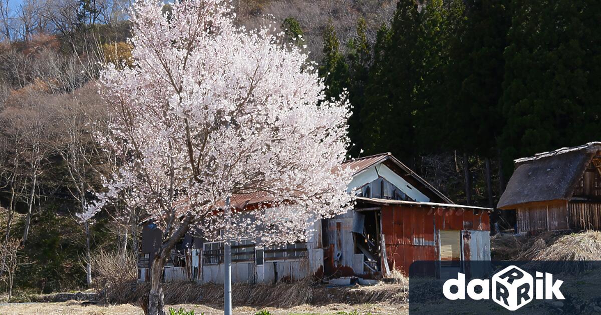 Япония има милиони домове в селски райони които се продават