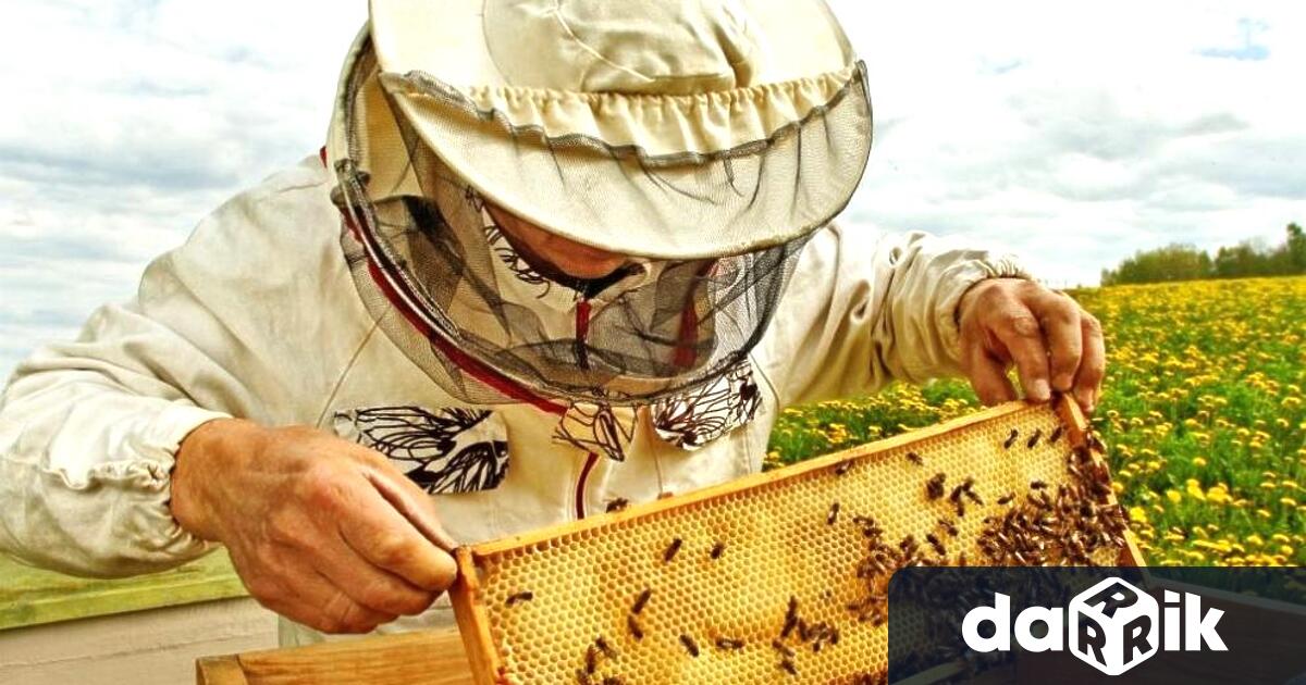 Отворен е приемът по интервенциите в сектор Пчеларство за 2024