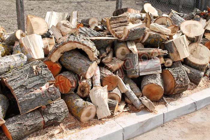 Мъж открадна дървата за огрев на семейство във врачанско село