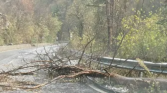 Паднали дървета, камъни и кални наноси по пътищата в Смолянско заради проливните валежи 