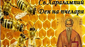 Поздрав от кмета на Община Нова Загора по повод Деня на пчеларя