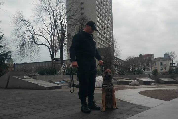 Отряд от четириноги полицаи патрулира от днес в Бургас 
