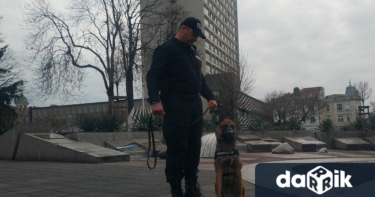 Първите полицейски патрули с кучета от днес извършват обход в