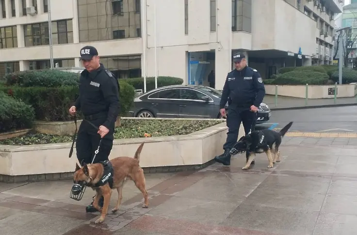 Отряд от четириноги полицаи патрулира от днес в Бургас 