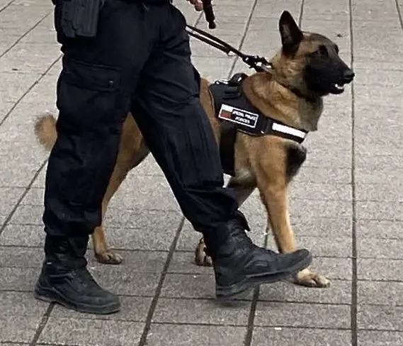 Полицаи патрулират със служебни кучета от утре в Бургас