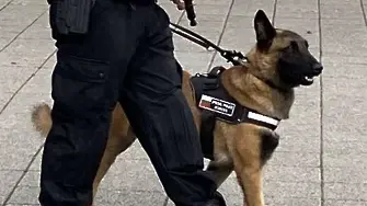 Полицаи патрулират със служебни кучета от утре в Бургас