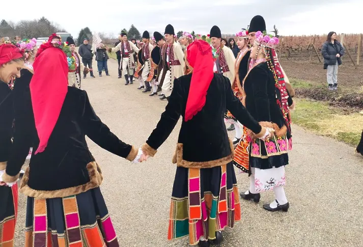 Единственият у нас Институт по лозарство и винарство в Плевен празнува с приятели Трифон Зарезан