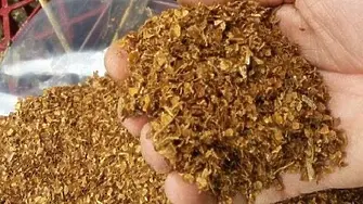 Намериха 5 кг контрабанден тютюн на Кооперативния пазар във Враца