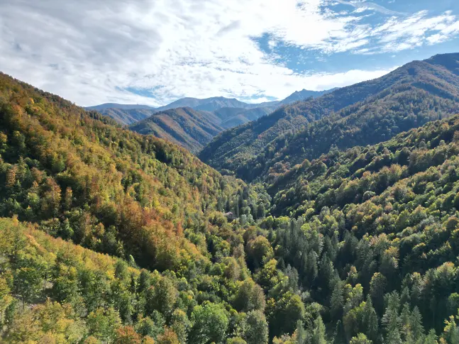 Северозападно държавно предприятие Враца стартира изпълнението на проект „Към климатично интелигентна горска свързаност за едри хищници в Балкано-Карпатско-Динарския регион“