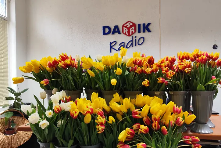 Пролетта пристигна на 8 март в Дарик Бургас с 501 лалета 