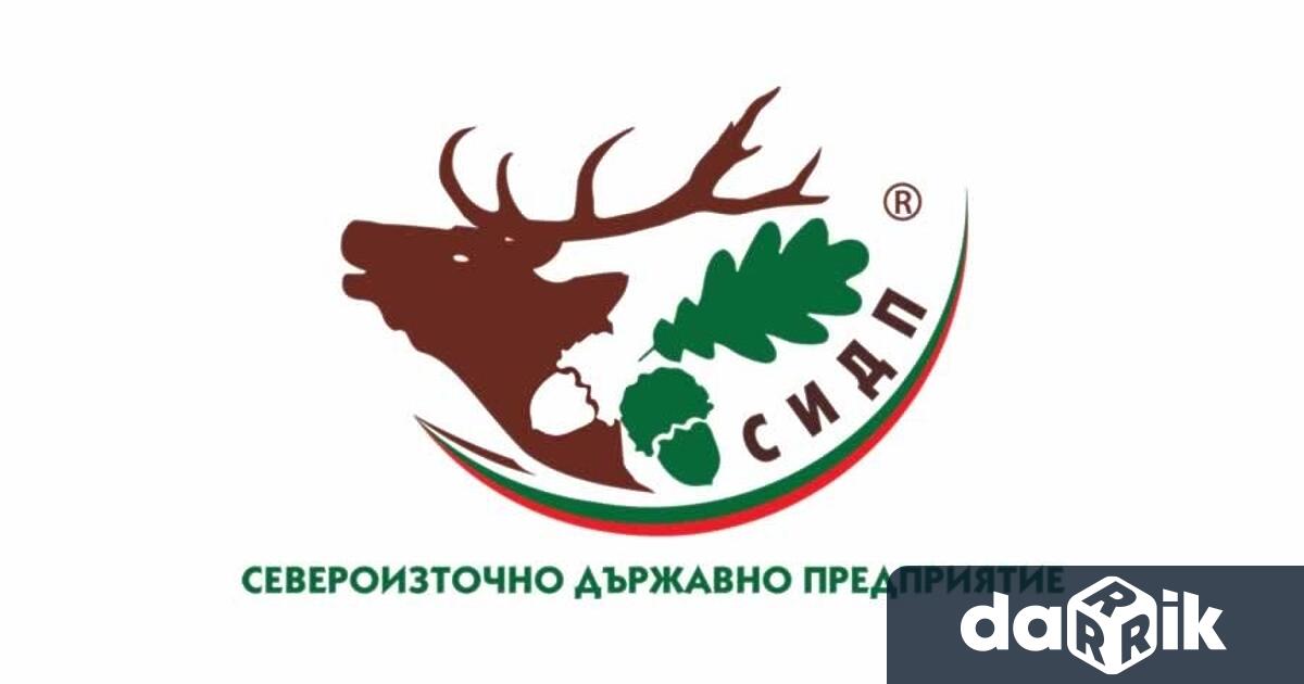 Държавно горско стопанство Добрич откри дарителска сметка за пострадалите