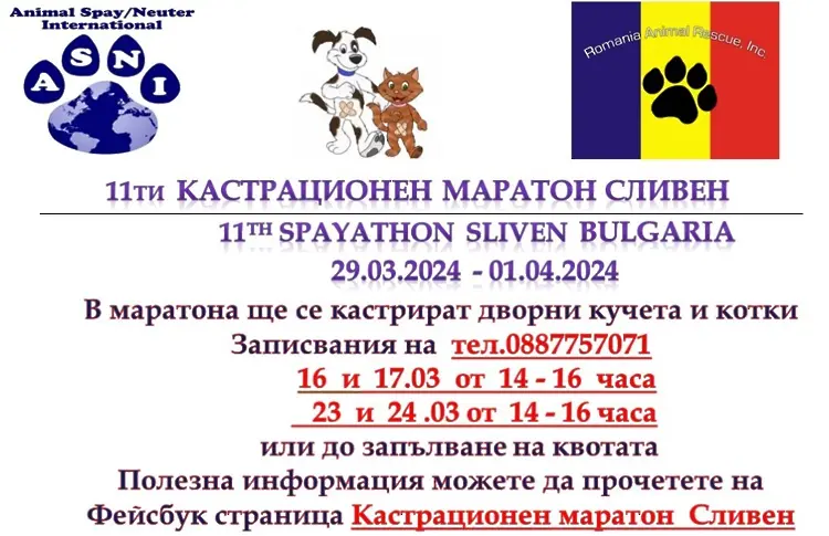 Безплатна кастрация на домашни и дворни кучета предлагат в Сливен
